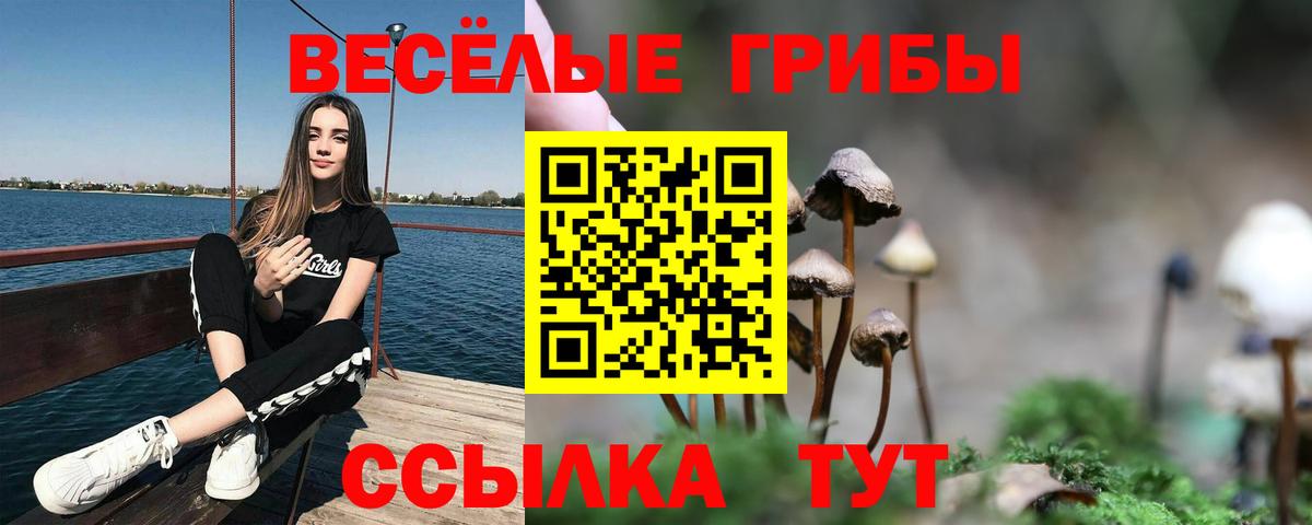 закладки  Галлюциногенные грибы MAGIC MUSHROOMS  Вход с VPN  Галлюциногенные грибы MAGIC MUSHROOMS  Юрга 